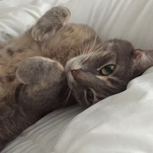 Meet your Posher, Kara